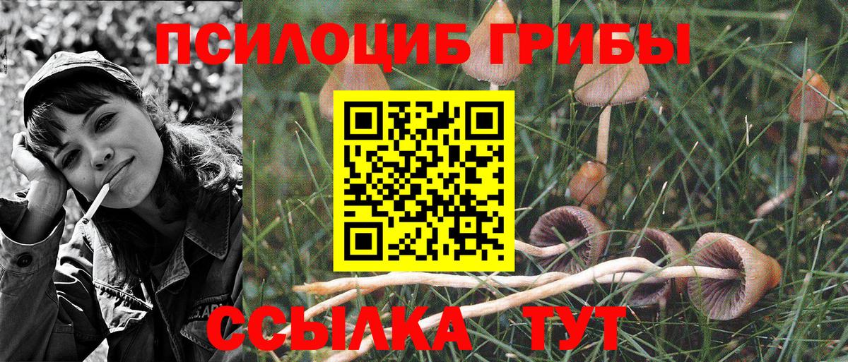 Новошахтинск  Псилоцибиновые грибы Magic Shrooms  Галлюциногенные грибы мицелий  Вход с VPN 